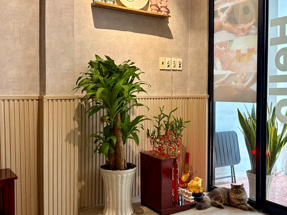 CHILL SPA - Massage Body & Foot Care